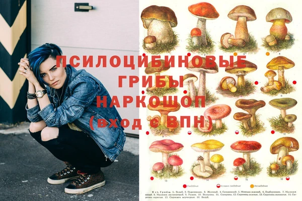 тгк Краснослободск