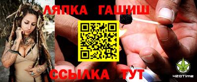 прущие грибы Моздок
