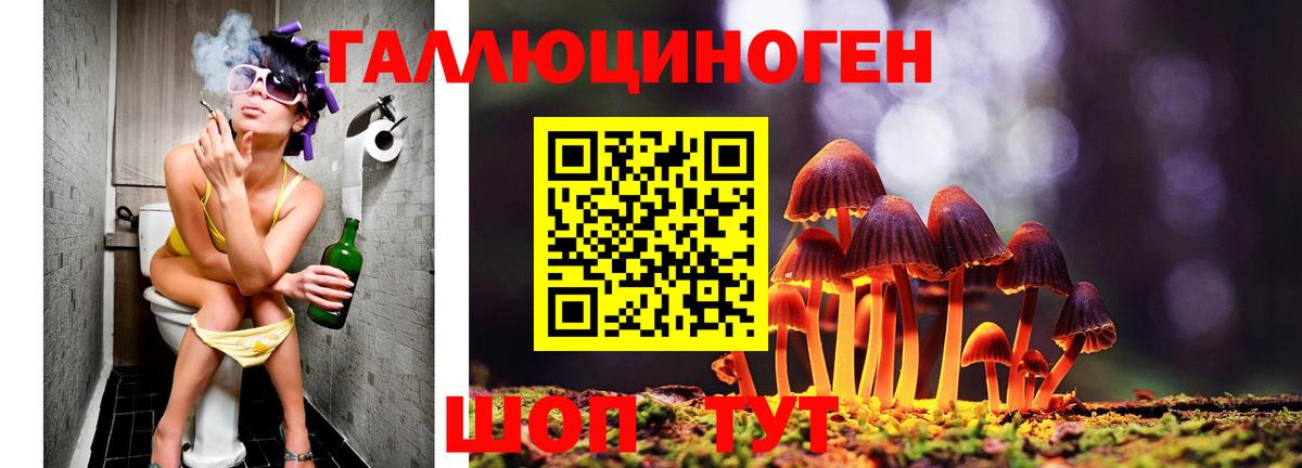 Липецк  Галлюциногенные грибы мицелий  купить  цена  Галлюциногенные грибы мухоморы  Вход с VPN 